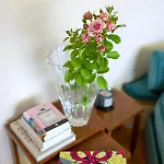 Il Garofano Rosa *