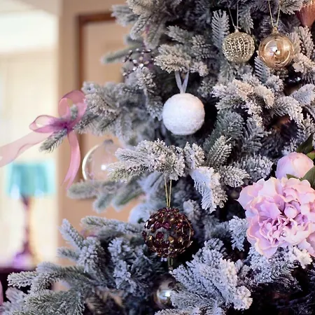 Il Garofano Rosa Verona