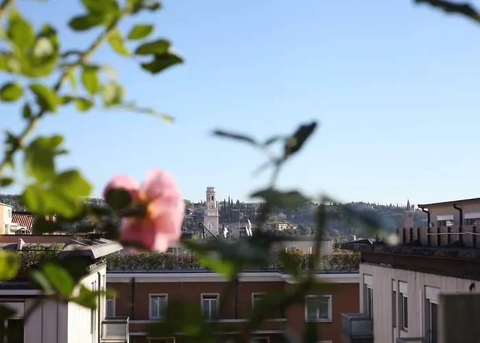 公寓 Il Garofano Rosa