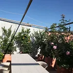 Il Garofano Rosa *