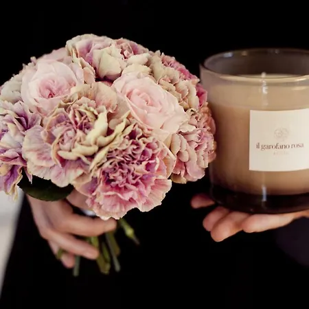 Lägenhet Il Garofano Rosa