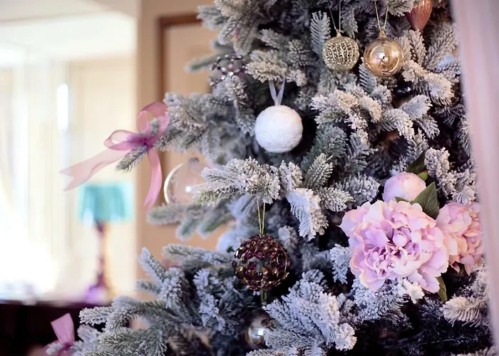 Il Garofano Rosa Verona